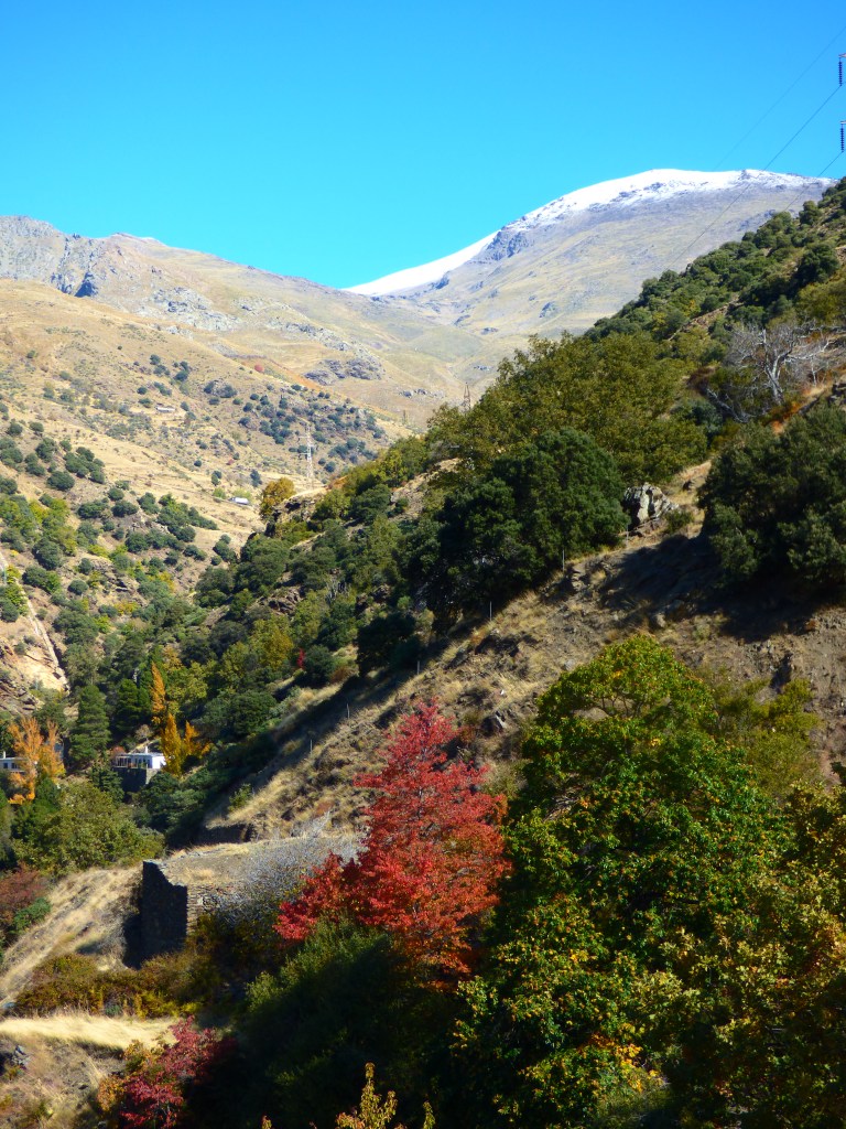 Parque Nacional de Sierra Nevada