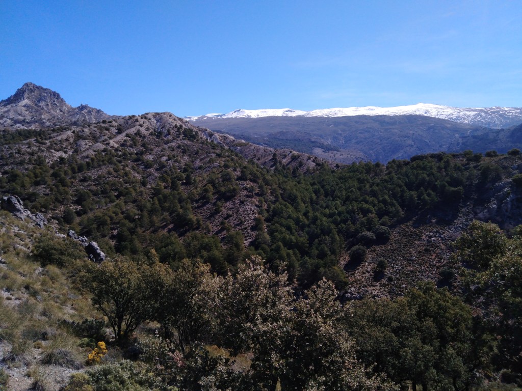 Parque Nacional de Sierra Nevada
